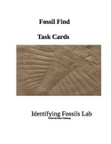 Fossil Find Task Cards 3rd Grade Science