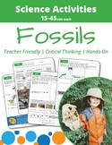 Fossil Formation: Learning how to make and date Fossils
