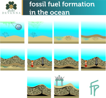 Fossil Fuel Formation In The Ocean by Studio Devanna | TPT