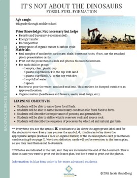 Preview of Fossil Fuel Formation: Lesson Plan and Activity Cards