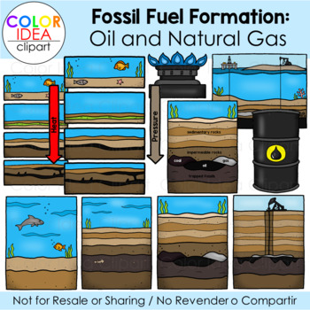 Fossil Fuel Formation: Oil and Natural Gas by Color Idea | TPT