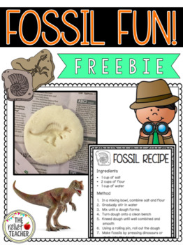 Preview of Fossil Fun FREEBIE!