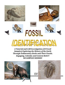Preview of Fossil IDENTIFICATION LAB:  No Actual Samples Needed (Rave Reviews)