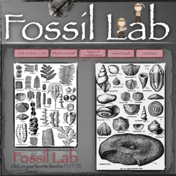 Preview of Fossil Lab