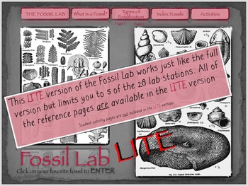 Preview of Fossil Lab LITE