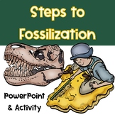 Fossil Lesson - Steps to Fossilization