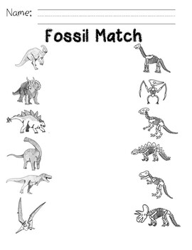Preview of Fossil Match