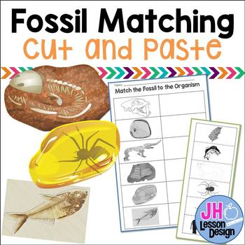 Fossil Matching: Cut and Paste Activity by JH Lesson Design | TpT