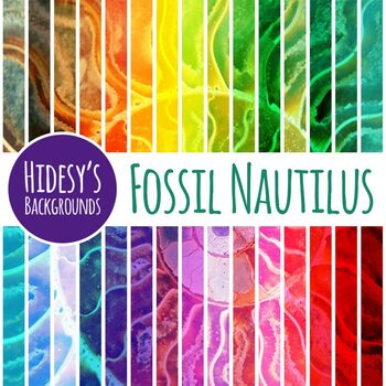 Fossil Nautilus Backgrounds / Ocean Animal Sea Shell Digital Paper Clip Art