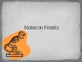 Fossil Notes