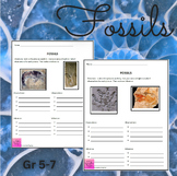 Fossil Observation and Inference No-Prep Science Worksheet