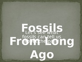 Fossil Powerpoint