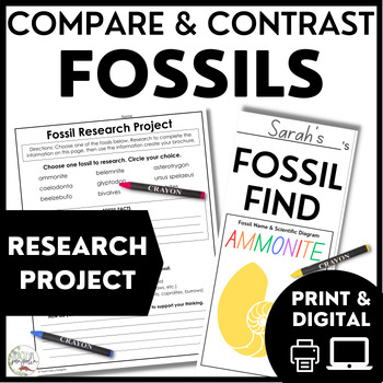 Preview of Types of Fossils Research Project - Compare and Contrast Writing Activity