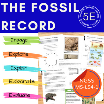 Fossil Record NGSS MS-LS4-1 Editable by Acorn | Teachers Pay Teachers