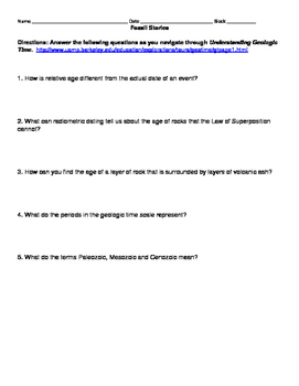 Fossil Record Worksheet Answers