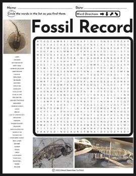Preview of Fossil Record Word Search Puzzle