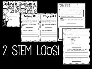 Fossil/Relative Dating/ Geological Time STEM Unit by Red Sister Squad