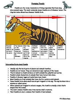 Nic TPT Fossil | Lesson Science by One