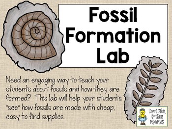 Preview of Fossil Formation Lab - Simulate How Fossils are Formed