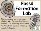 Fossil Formation Lab - Simulate How Fossils are Formed