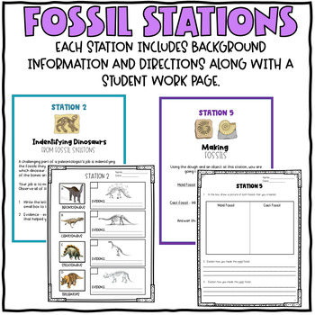 Fossil Stations {NGSS Aligned with 3-LS4-1, 4-ESS1-1, MS-LS4-1 & MS-ESS2-3}