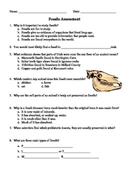 Fossil Test and Study Guide - 4th Grade Science by Wendy Wakefield