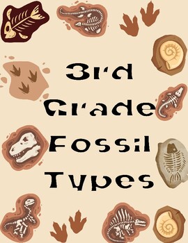 Preview of Fossil Types - 3rd Grade