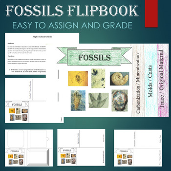 Preview of Fossil Types Flipbook