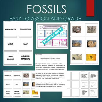 Fossil Types (Mold, Cast, Carbonization, Trace) Sort and Match STATIONS ...