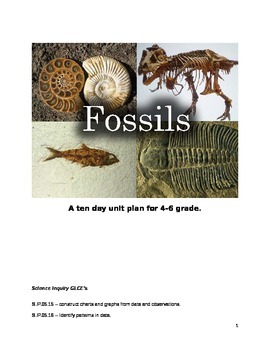 Preview of Fossil Unit Plan