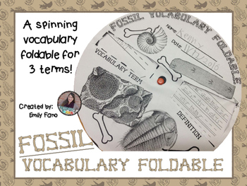 Preview of Fossil Vocabulary Foldable FREEBIE