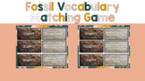 Fossil Vocabulary - Matching Cards