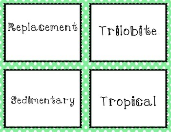 Preview of Fossil Vocabulary Task Cards (Utah Core 4th grade)