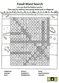 Fossil Vocabulary Word Search By Wonder At The World 