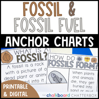 Fossil and Fossil Fuel Anchor Charts | First and Second | TPT