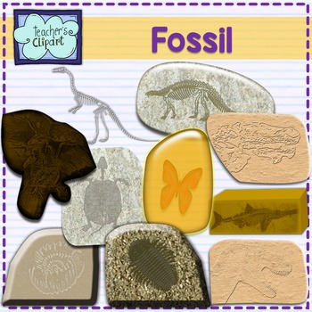 Preview of Fossil clip art - {Science Clipart}