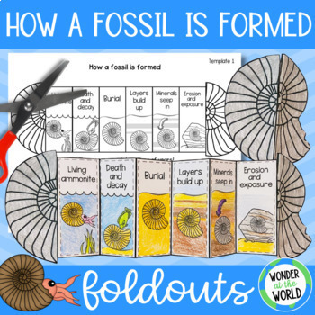 Fossil folding craft activity by Wonder at the World | TpT