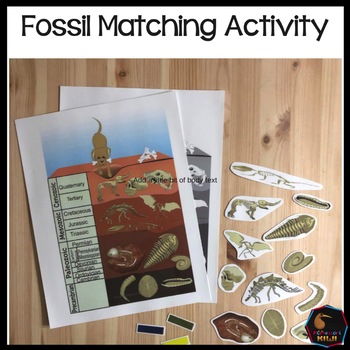 Preview of Fossil matching activity