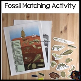 Fossil matching activity