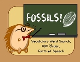 Fossil vocabulary study - word search, parts of speech - D