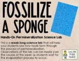 Fossililze a Sponge Lab - Simulate How Permineralization Occurs