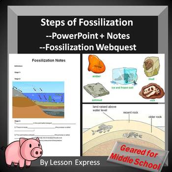 Preview of Fossilization PowerPoint, Notes, Webquest Activity -- Middle School