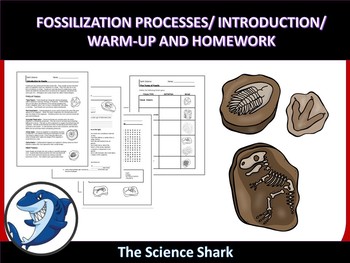 Fossilization Processes - Introduction, Warm-up, and Homework | TpT