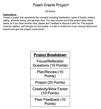 Preview of Fossilization Student Choice Project