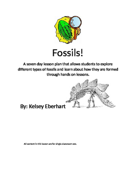 Preview of Fossils!