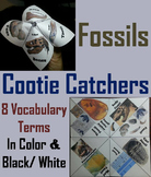 Types of Fossils Activity (Earth Science Geology Unit: Coo