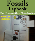 Types of Fossils Activity/ Interactive Notebook Foldable (