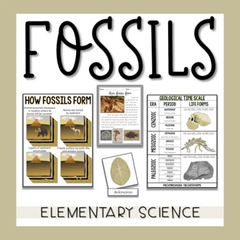Fossils by Joyful Learning - Megan Joy | TPT