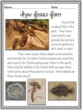 Fossils by Joyful Learning - Megan Joy | TPT