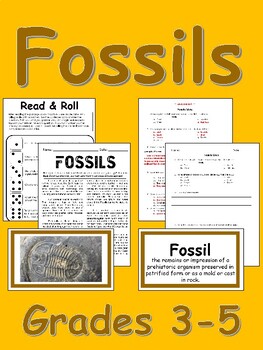 Fossils by elSTEMentary | Teachers Pay Teachers